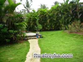 Высокие живые изгороди из листопадных деревьев и кустарников Высокие живые изгороди из листопадных деревьев и кустарников