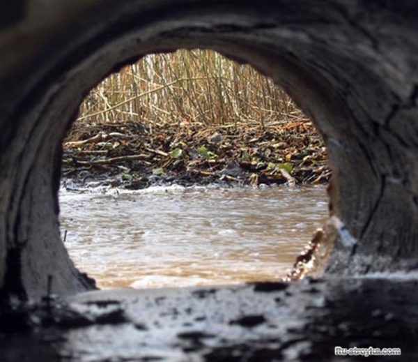 Сточные воды Сточные воды