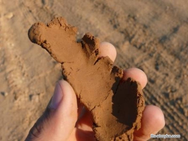 ДОБЫЧА И ПОДГОТОВКА ГЛИНЫ ДОБЫЧА И ПОДГОТОВКА ГЛИНЫ