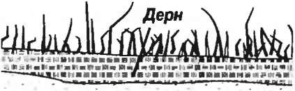 Дренаж из покрышки Дренаж из покрышки
