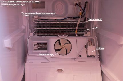Ремонт холодильника Indesit: как найти и устранить типичные неисправности Ремонт холодильника Indesit: как найти и устранить типичные неисправности