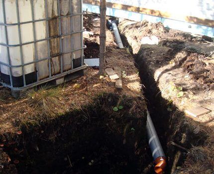 Как сделать септик из еврокубов своими руками: пошаговый инструктаж по сборке Как сделать септик из еврокубов своими руками: пошаговый инструктаж по сборке