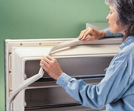 Ремонт холодильника Indesit: как найти и устранить типичные неисправности Ремонт холодильника Indesit: как найти и устранить типичные неисправности