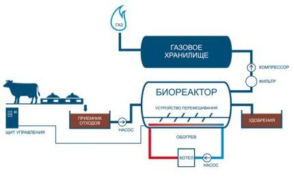 Как получить биогаз из навоза: обзор базовых принципов и устройства установки по производству