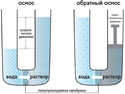 Как выбрать фильтр обратного осмоса: рейтинг лучших производителей и их продукции Как выбрать фильтр обратного осмоса: рейтинг лучших производителей и их продукции