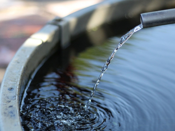 Виды строений на земельном участке под ИЖС Виды строений на земельном участке под ИЖС