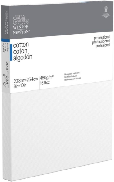 ТОП-5 лучших холстов на подрамнике: характеристики, плюсы и минусы ТОП-5 лучших холстов на подрамнике: характеристики, плюсы и минусы