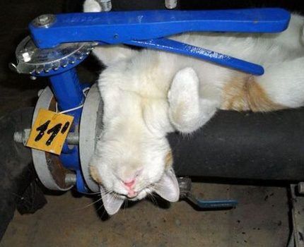 Как выбрать утюг для сварки полипропиленовых труб и как им правильно пользоваться Как выбрать утюг для сварки полипропиленовых труб и как им правильно пользоваться