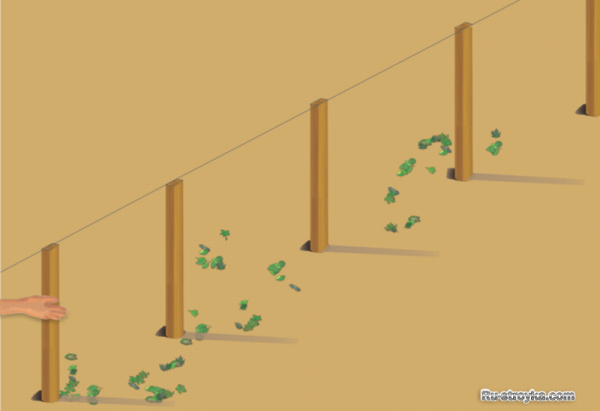 Как построить деревянный забор Как построить деревянный забор