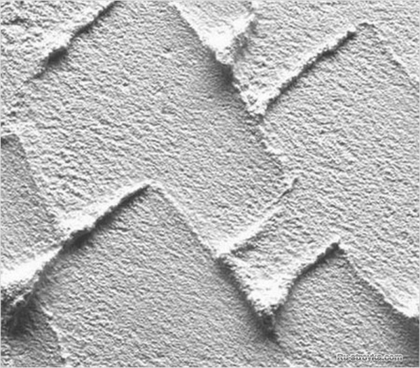 Выбор шпатлевки. Выбор шпатлевки.