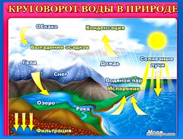 КРУГОВОРОТ ВОДЫ В ПРИРОДЕ КРУГОВОРОТ ВОДЫ В ПРИРОДЕ